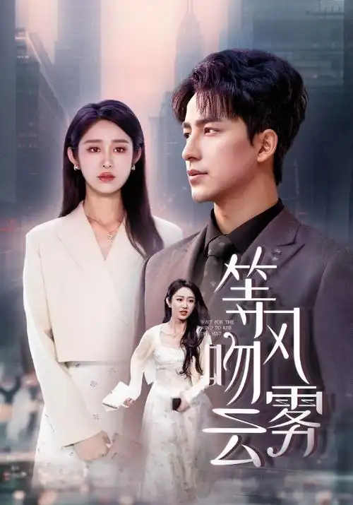 长夜将尽 热播电视剧全集免费观看